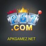 P67 Game