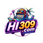 HI 309 game