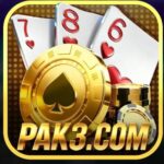PAK3 Game